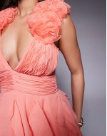 Organza ruffle skater mini dress in pink